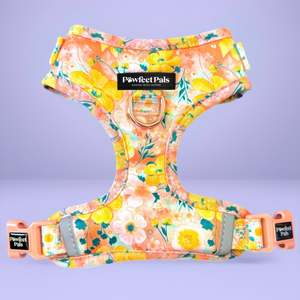 No Pull Dog Harnesses: Summer Field - No-Pull Adjustable Harness