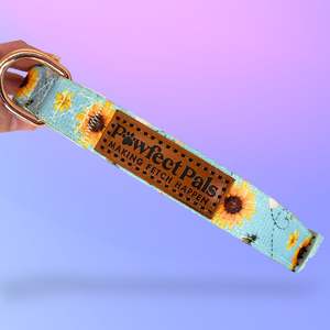 Soft Dog Collars: Honey Honey - Soft Dog Collar