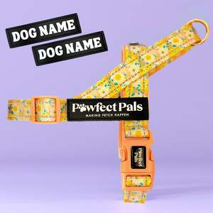 Dog Harnesses: Summer Field - Personalised Strap Harness