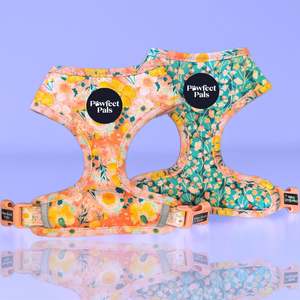 Dog Harnesses: Summer Field/The Lakes - Reversible Harness