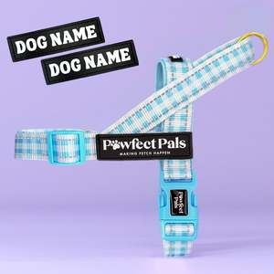 Blue Gingham - Personalised Strap Harness