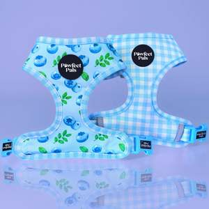 Blue Gingham - Reversible Dog Harness