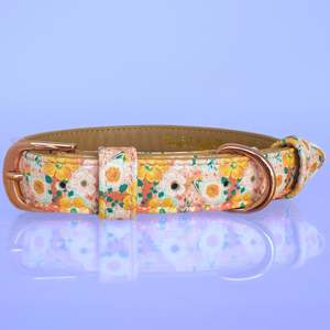 Summer Field - Dog Collar