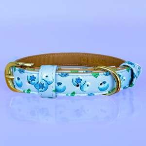 Blueberry Baby - Dog Collar