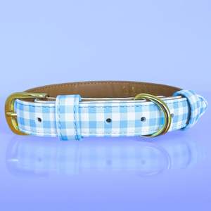 Blue Gingham - Dog Collar