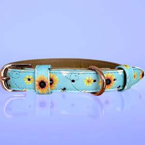 Honey Honey - Dog Collar