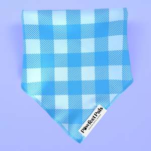 Blue Gingham - Cotton Bandana