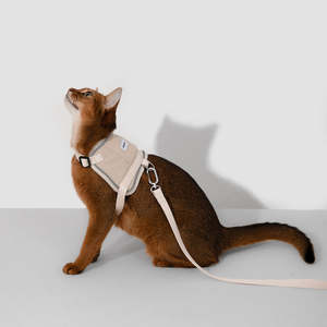 HiDream Vest-Style Cat Harness and Leash Set
