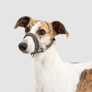 HiDream Dog Head Collar