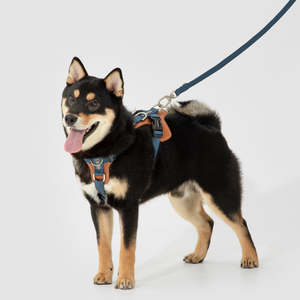 Hidream: HiDream ComfortFit H-Style Dog Harness