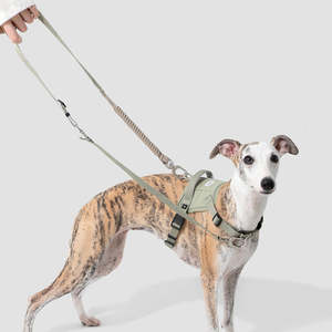 Hidream: HiDream Anti-Pull Vest-Style Dog Harness