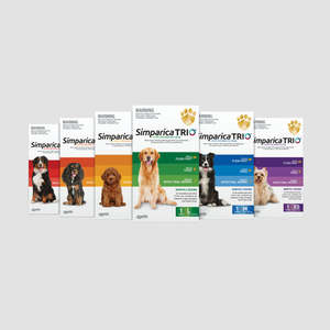 ST Flea Tick & Worm Treatment For Dog