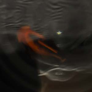 Cold Water Fish: Red and Black Blackmoore Goldfish (Large)