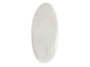 Premium Cuttlefish Bone