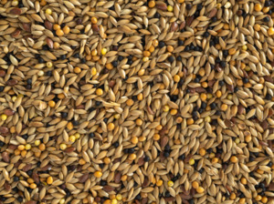 Bird Feed: Topflite Canary Mix 1kg