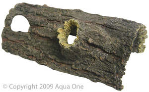 Reptiles: Reptile one Log with two holes