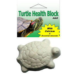 Reptiles: Turtle Health Block