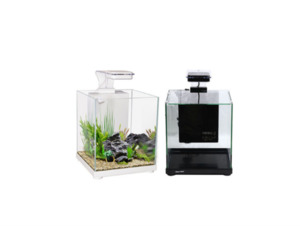 Fish: Aqua One Betta Sanctuary 10L