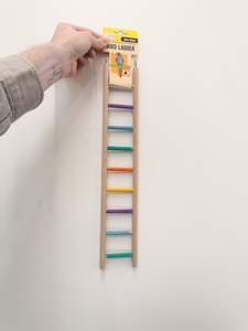 Birds: Avi One Bird Ladder