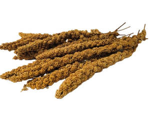 Birds: Millet Spray 20pk