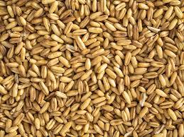 Birds: Hulled Oats 3kg