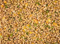 Topflite Lucky Duck mix 2kgs