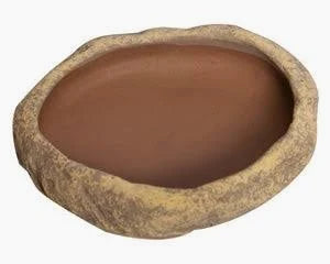 Reptiles: Reptile One Sandstone Dish Sm