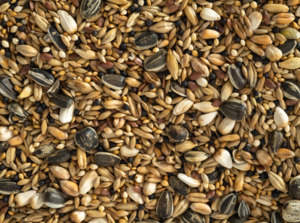 Topflite Aviary Seed Mix 1KG