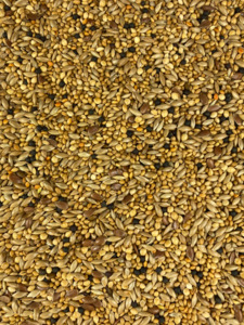 Topflite Finch Seed Mix 1kg