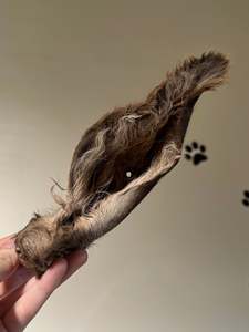 Dogs: Venison ears
