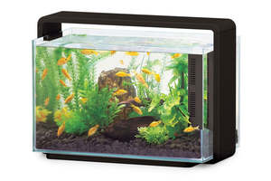 Fish: Hailea Aquarium 60L – Black (Copy)