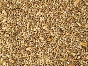 Birds: Topflite Budgie Seed Mix 2kg