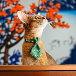 Pidan: PIDAN PET NECKTIE COLLAR