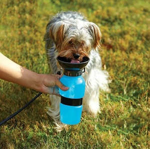 Pet Accessories: 500ml Pet Travel Water Bottle