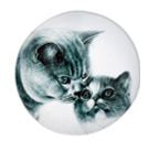 5 Clearance: Magnet, Feline Friends Mothers Love