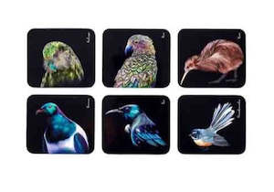 Majestic Birds 6pk Coaster Set Ashdene