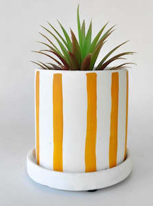 Julia Stripe Planter with Saucer