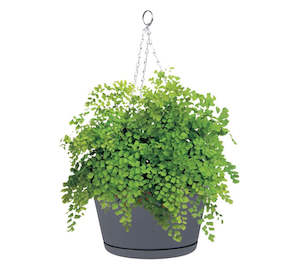 Décor® Evergreen Hanging Pot – Round 284mm (Pewter)