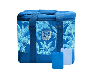 Chilly Bins: Seymours Hard Sided Cooler Bag 20L Blue