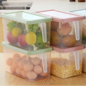 Storage: Clear Storage Container W Handle & Lid