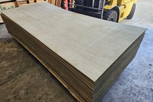Products: Ply Treated H3 (Single Sheet) - Payless Paints