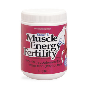 Snow-E Muscle Energy