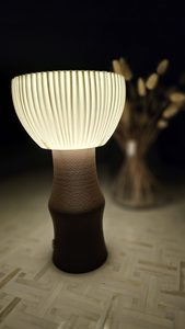 Products: Silva Cordless Touch Lamp for New Zealand Living