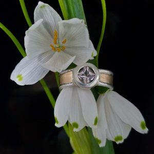 Products: Pacific queen ring, morganite, 9ct gold, and silver. Size N - Penelope Barnhill Jewellery