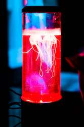 All: Jelly Fish Lamp