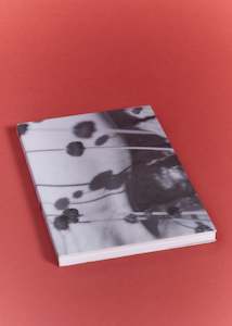 Anyonegirl (Waist Issue 4)