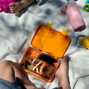 Bento Boxes: Kids bento box (Karaka)