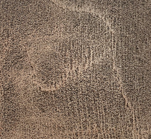 Decorative Stains: Dark Brown Water Based Stain 1l