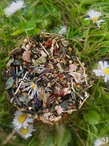 Herbal Teas — Persephone Potions: Equinox Equaliser Herbal Tea - Persephone Potions
