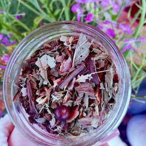 Herbal Teas — Persephone Potions: Ha Herbal Tea - Persephone Potions